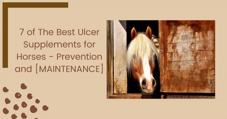 ulcer supplements for horses