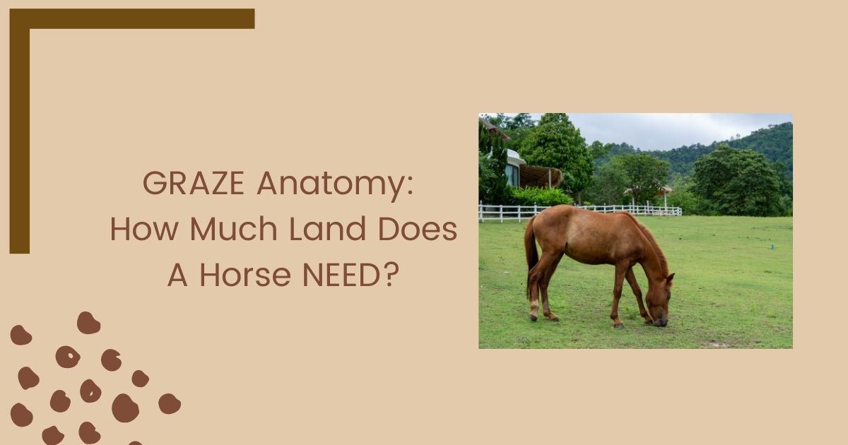 how much land does a horse need
