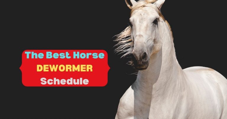 horse dewormer schedule