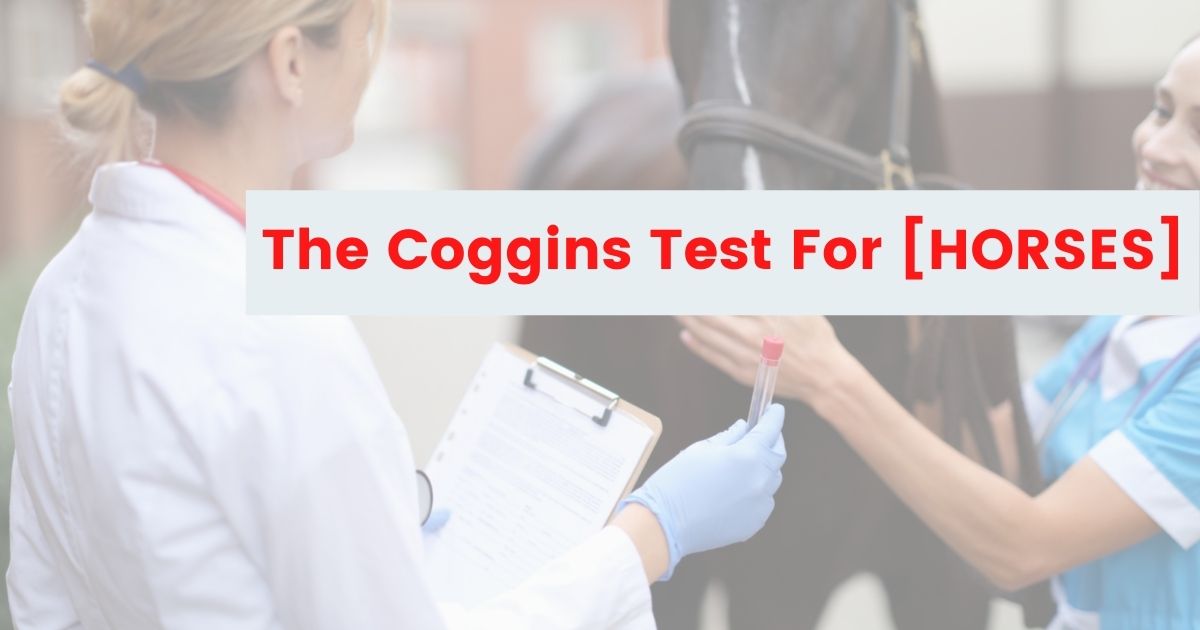 coggins test