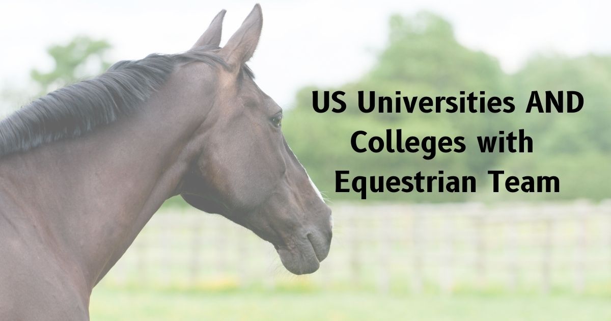colleges with equestrian team