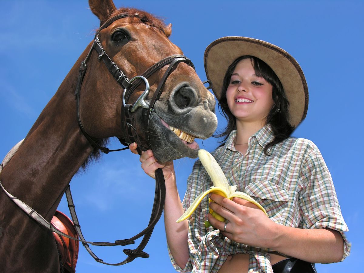 horse eating banana