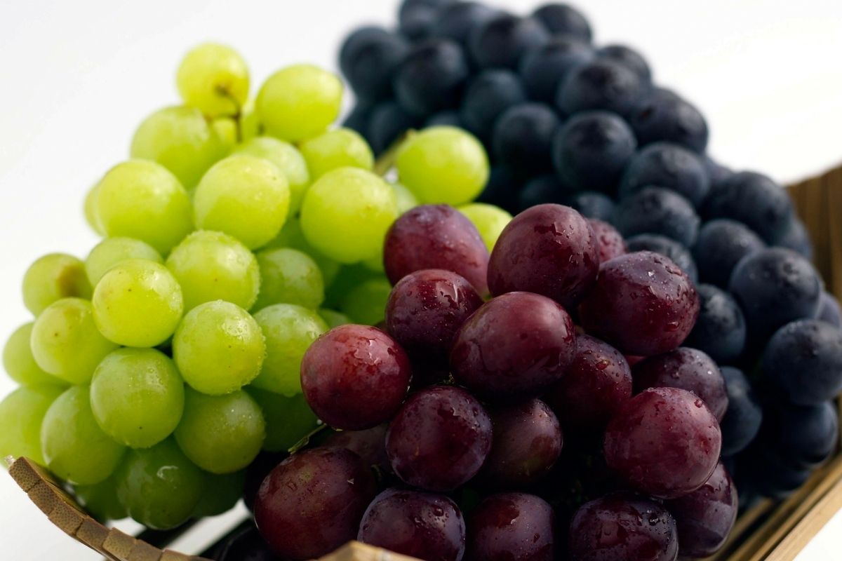 Basket of grapes