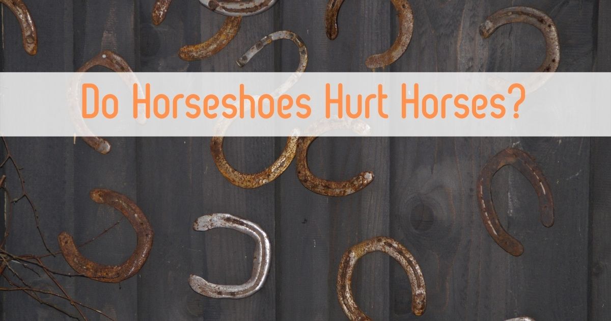 do horseshoes hurt horses