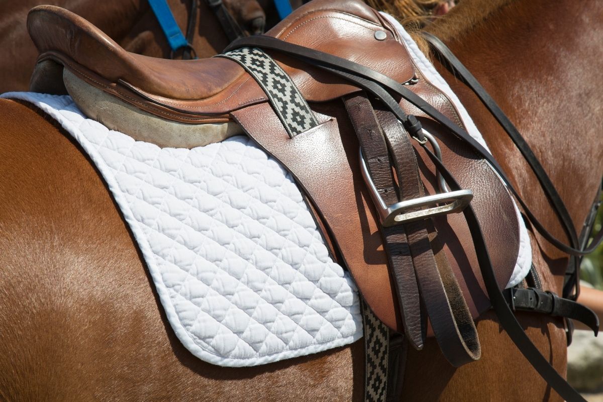 Saddle with saddle pad