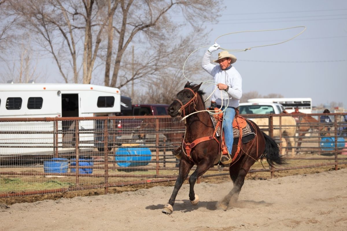 Cowboy riding a horse
