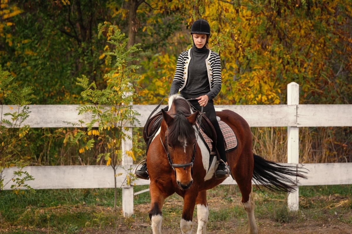 Autumn horse riding