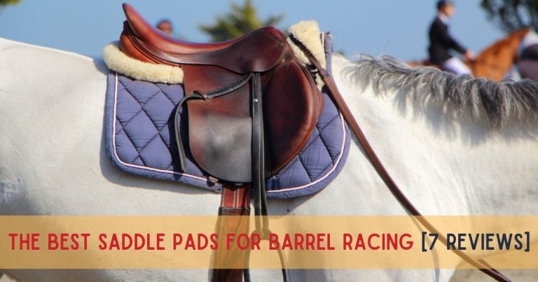best saddle pads for barrel racing