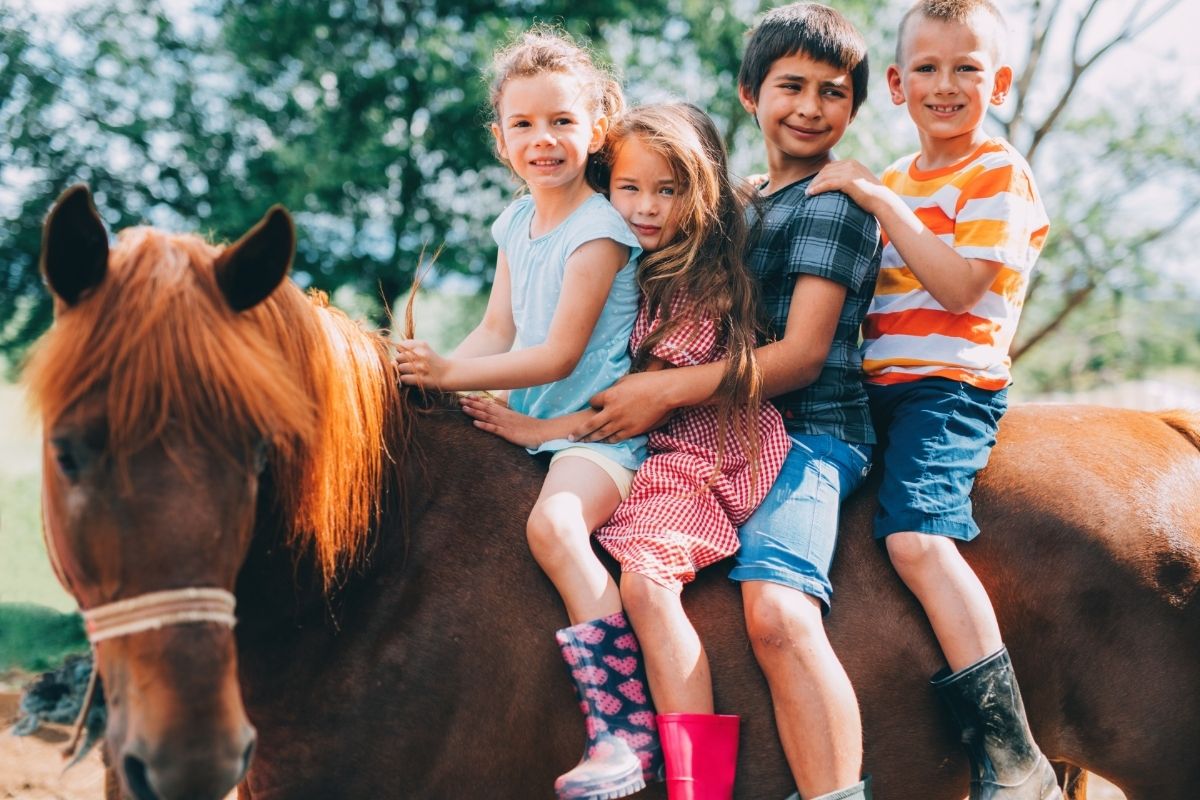Children riding a horse
