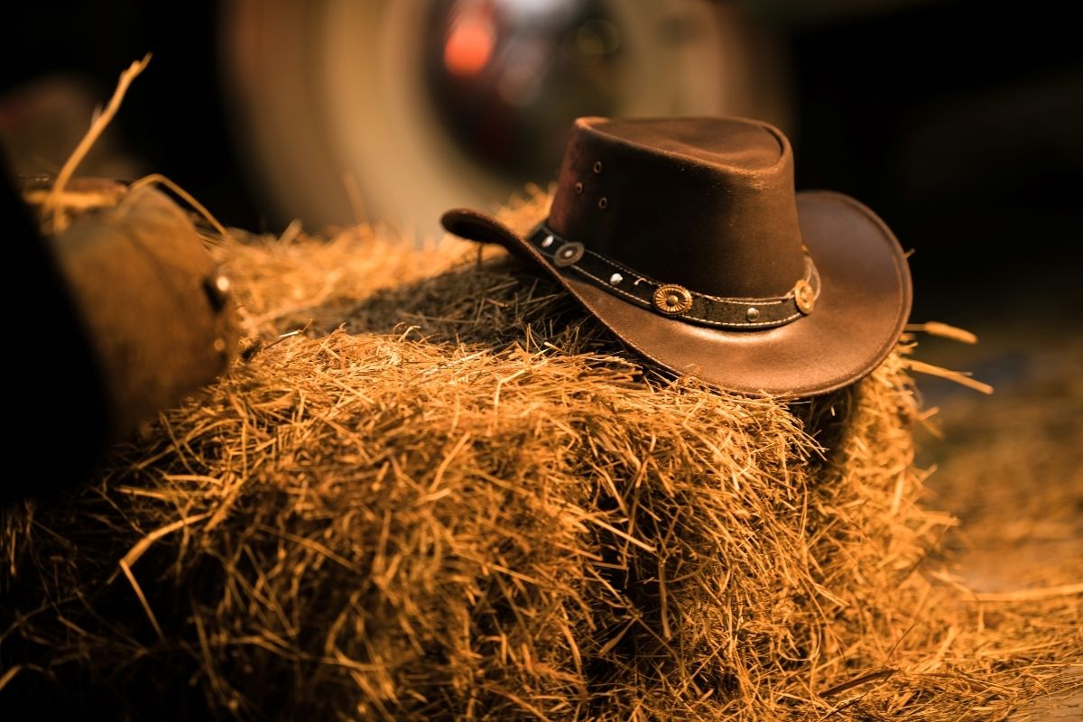 Cowboy Hat Western Wear