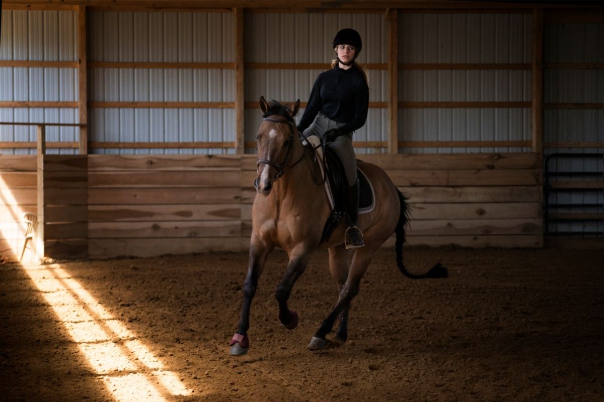 English riding in a training horse barn