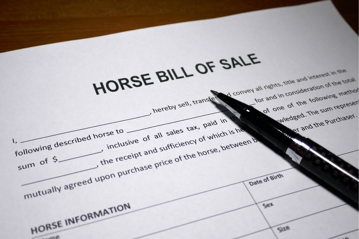 Horse Ownership Document