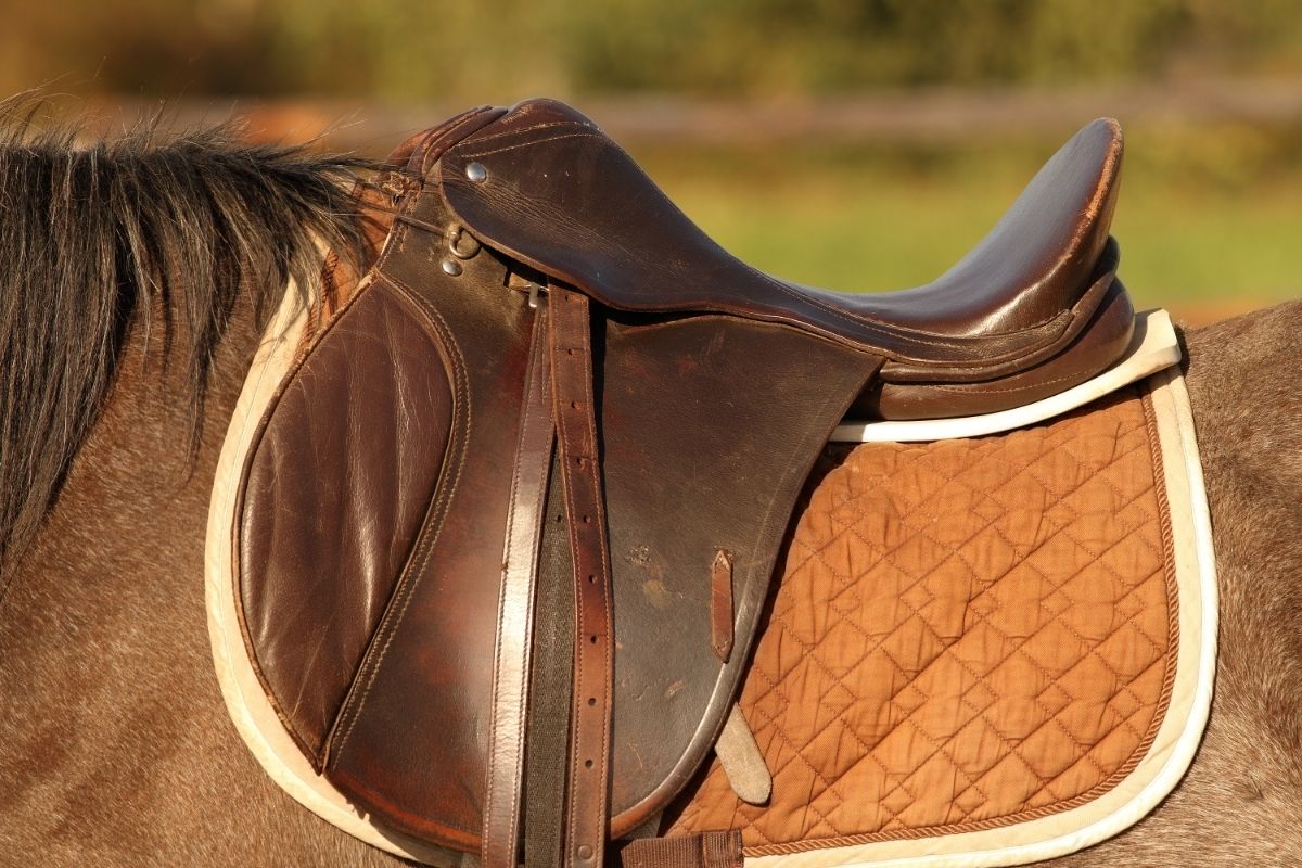 Horse saddle