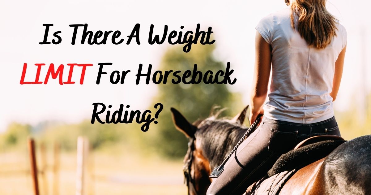 weight limit for horseback riding