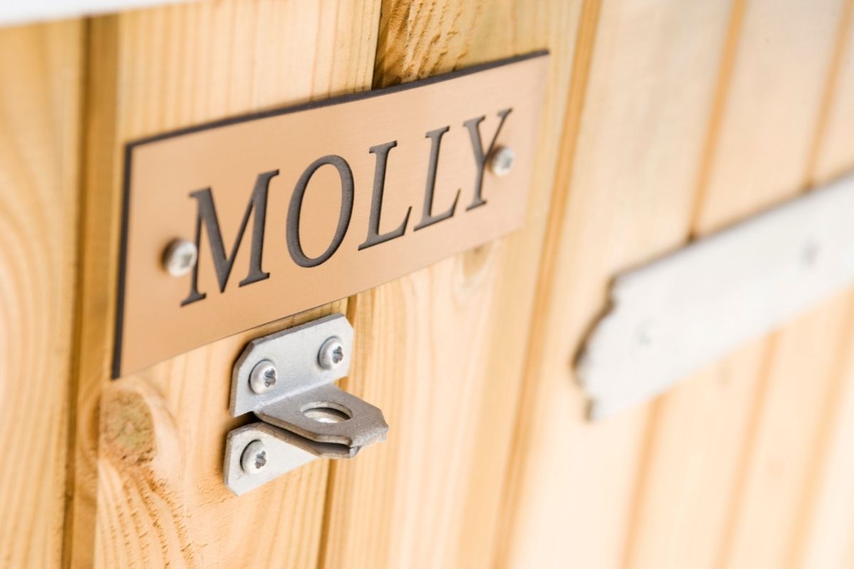 Name sign in stable Molly