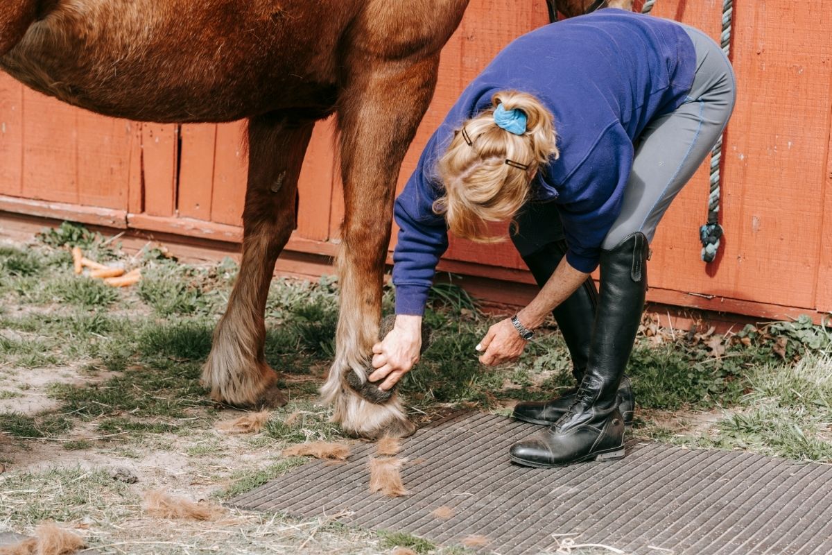 Woman Checking at a Horse's Hoof
