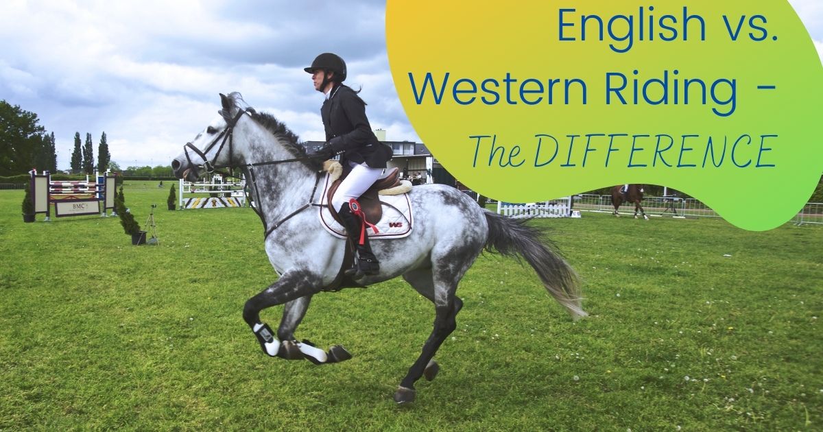 english vs. western riding