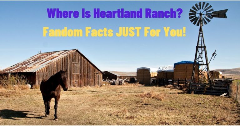 where is heartland ranch