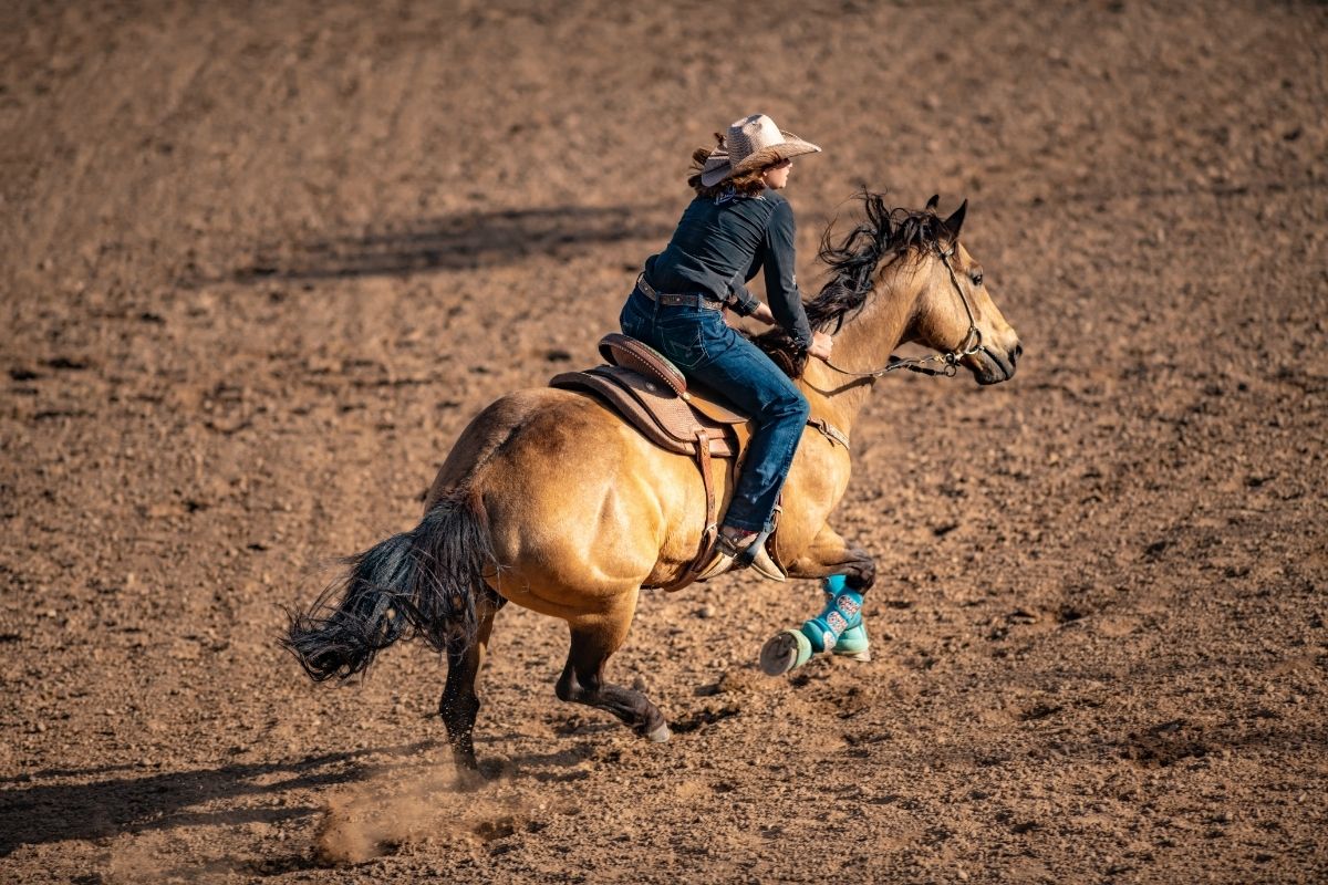 Cowgirl barrel racing rodeo