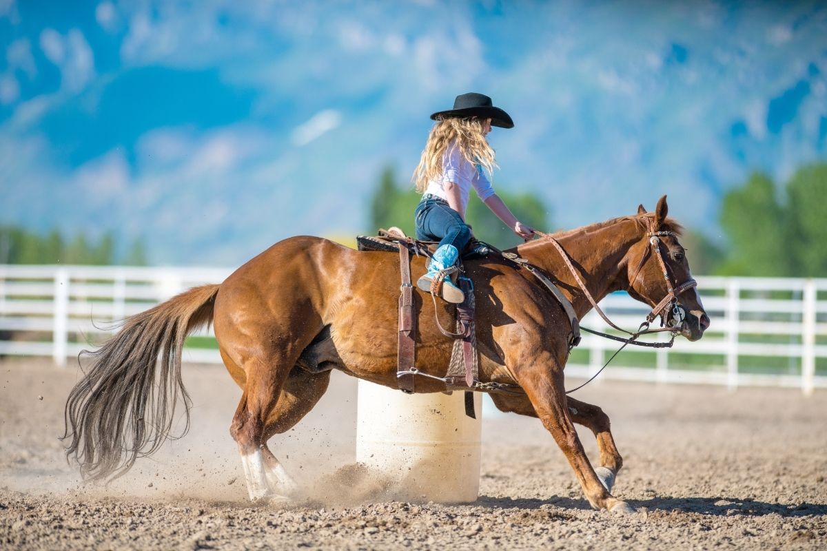 Cowgirl on horse barrel racing Rodeo