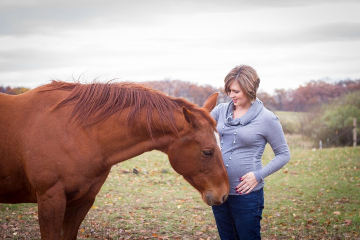 Horse bonding with a pregnant mother