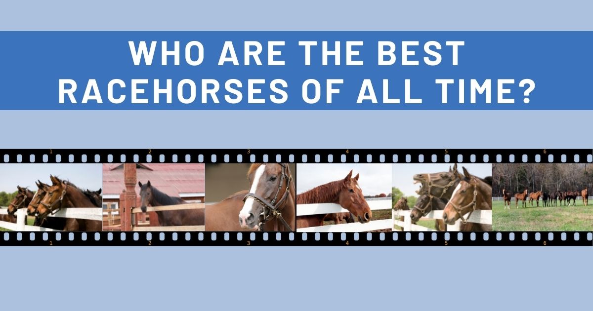best race horses of all time