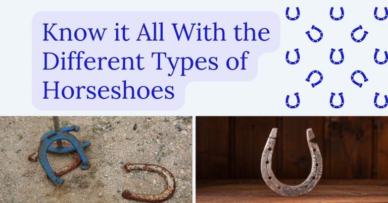 Types of Horseshoes