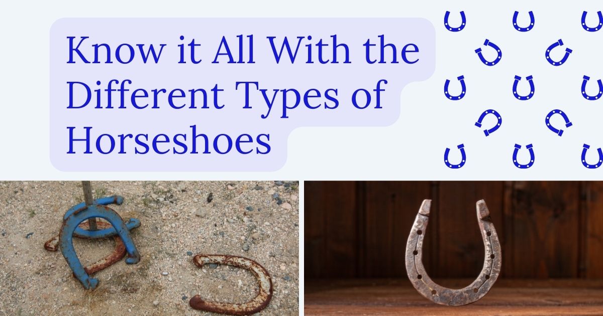 Types of Horseshoes