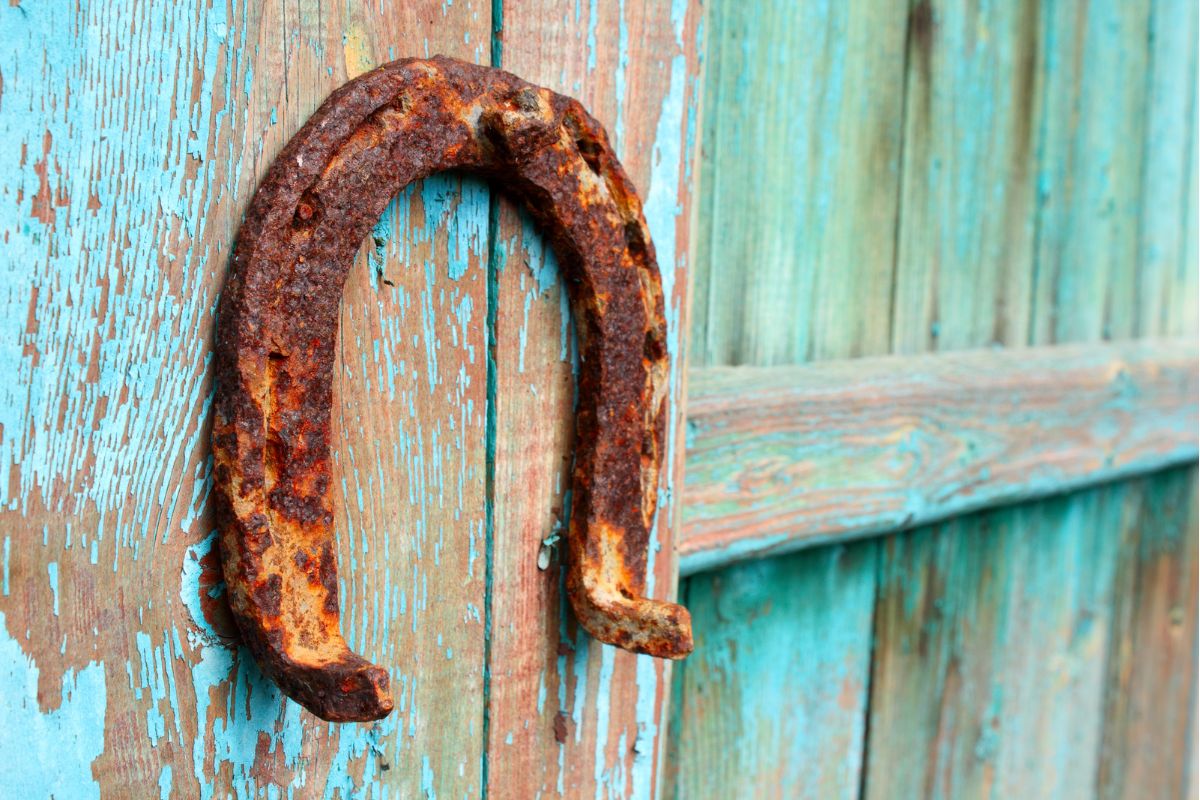 horseshoe on the door