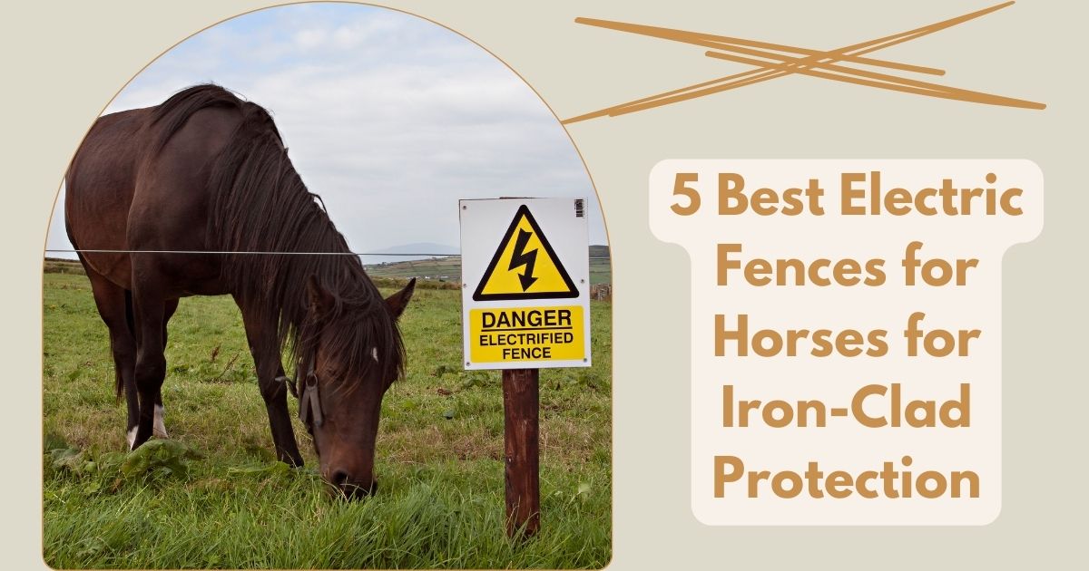 Best Electric Fences for Horses