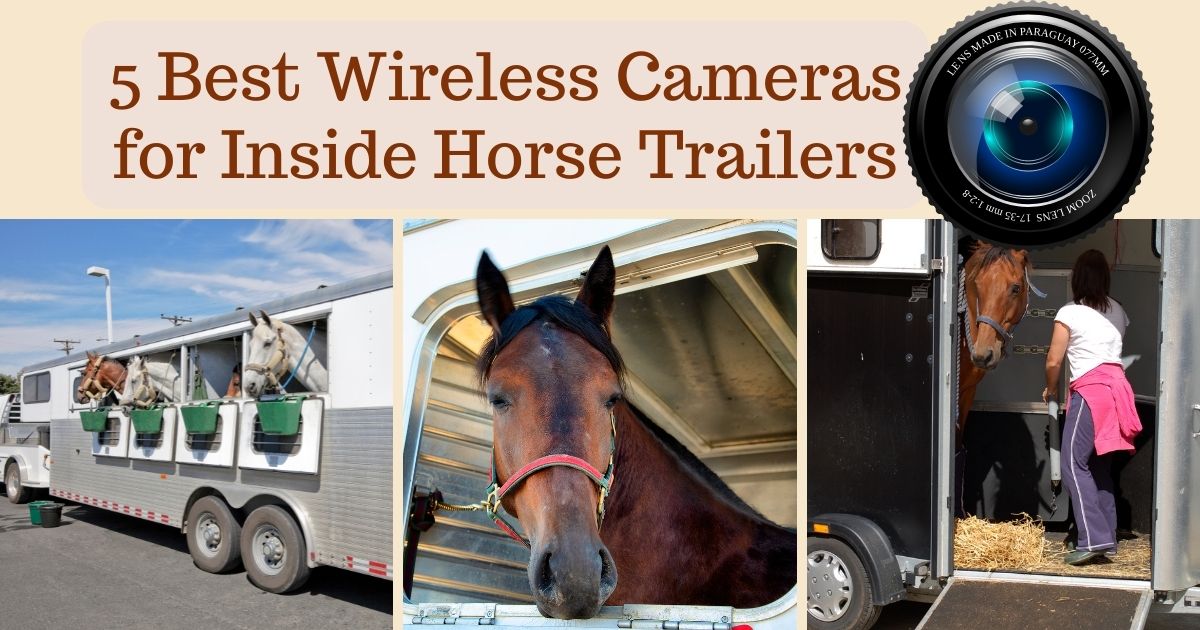 Best Wireless Cameras for Inside Horse Trailers