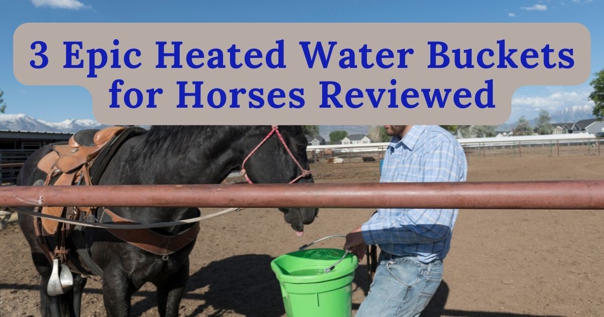 heated water buckets for horses