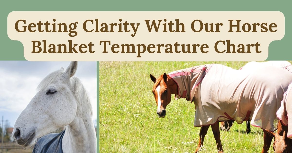 horse blanket temperature chart