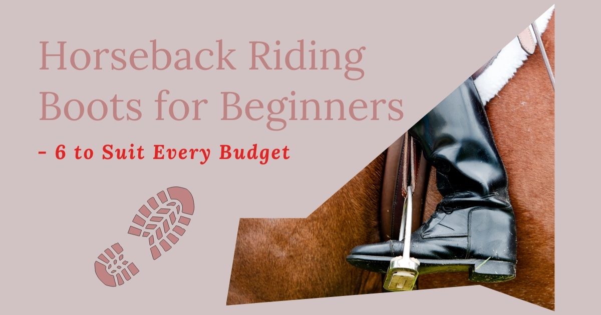 horseback riding boots for beginners