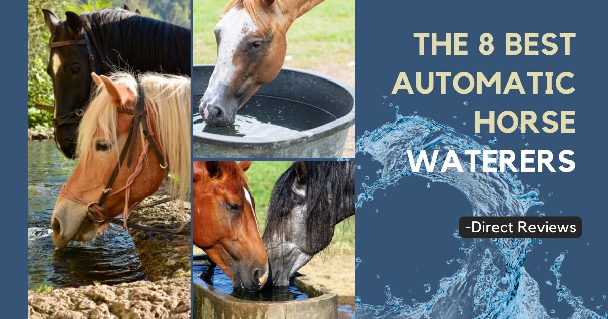 best automatic horse waterer