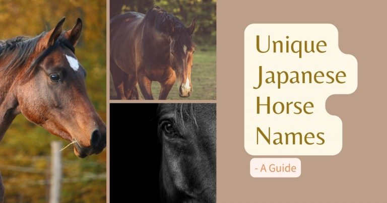 japanese horse names