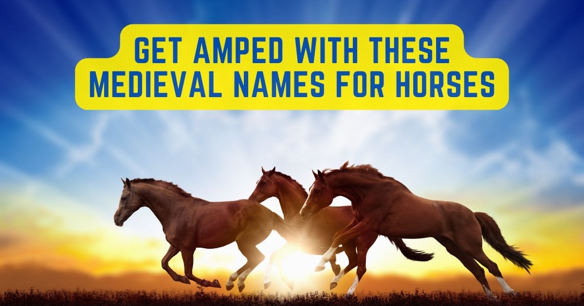medieval names for horses
