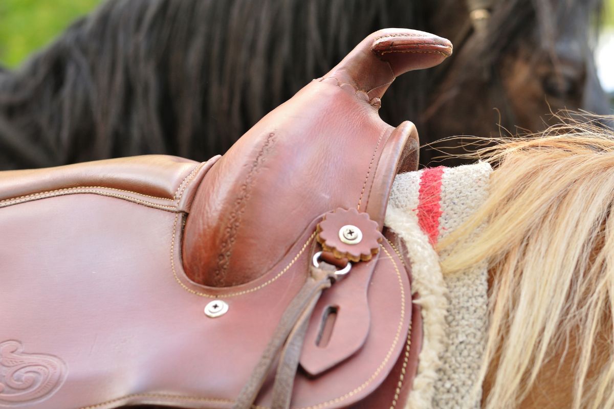Detail of Western Horse Saddle