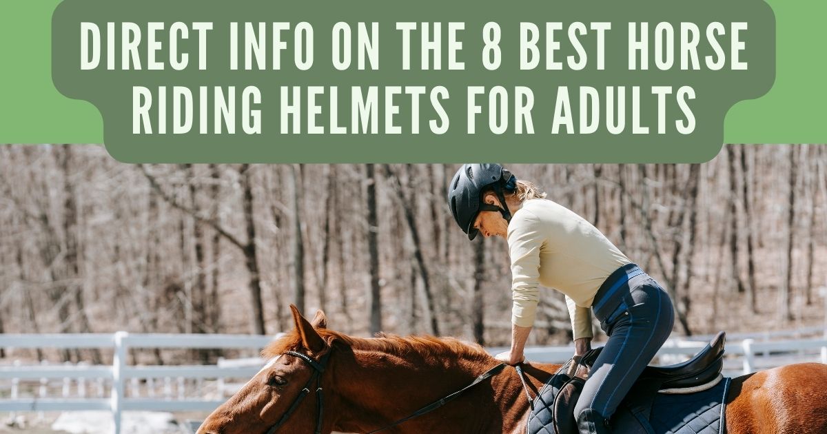 best horse riding helmets