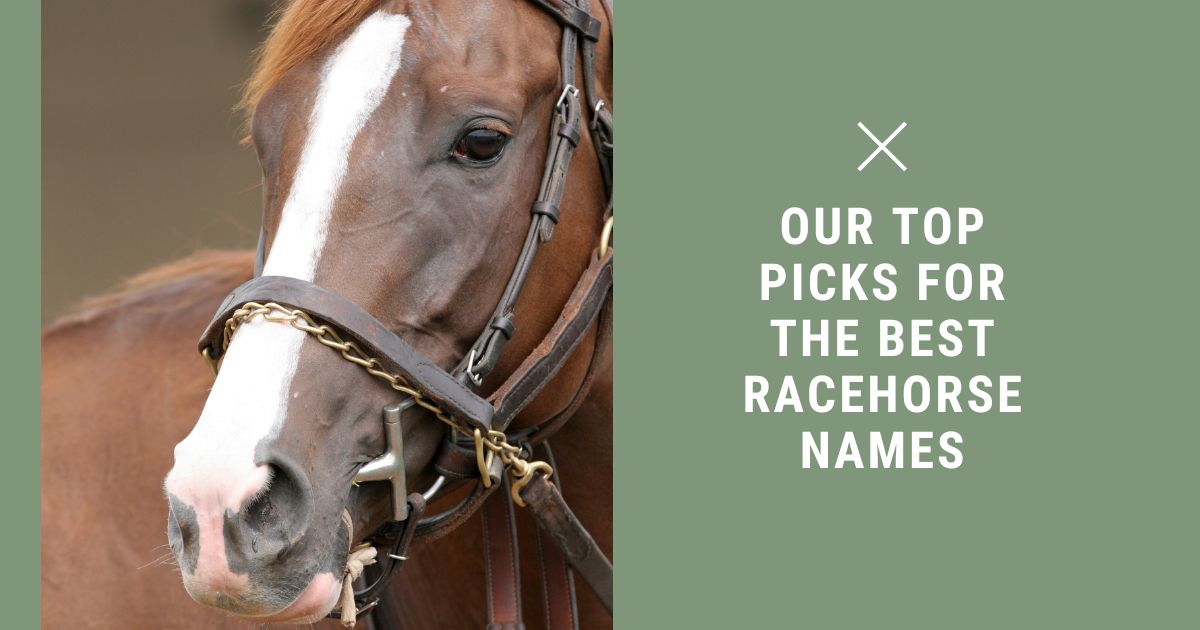 best racehorse names