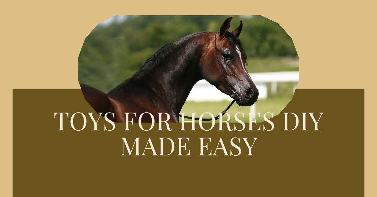 toys for horses diy