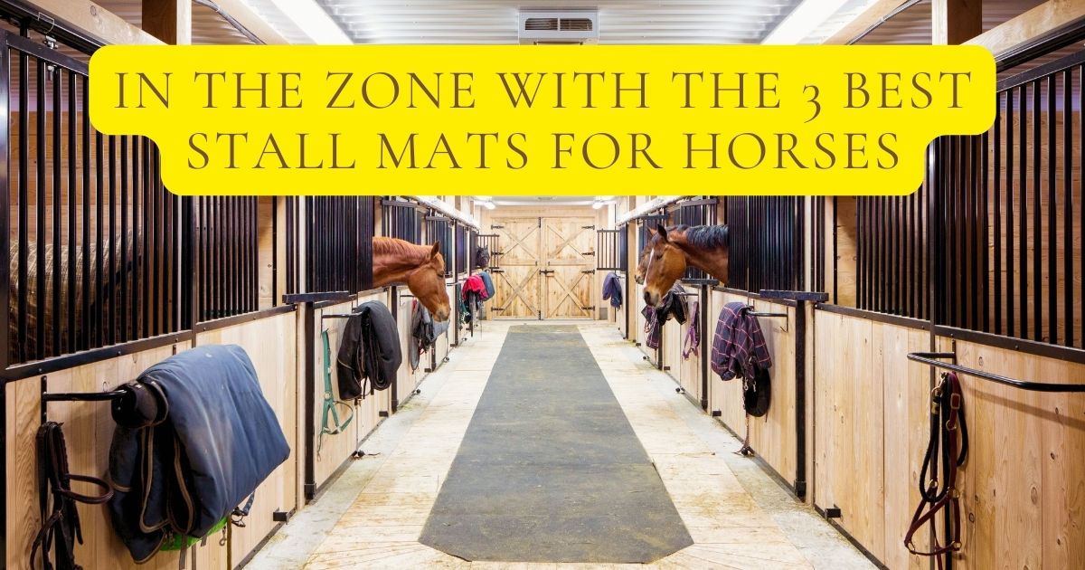 best stall mats for horses