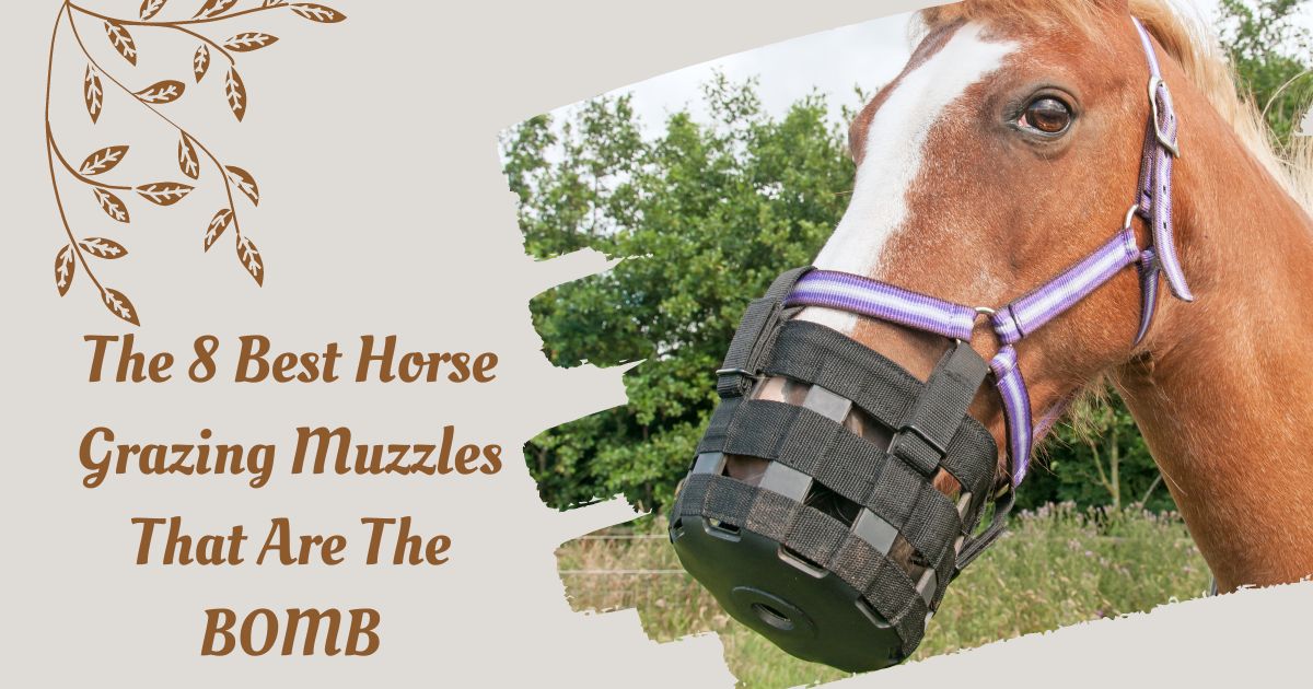 best horse grazing muzzle