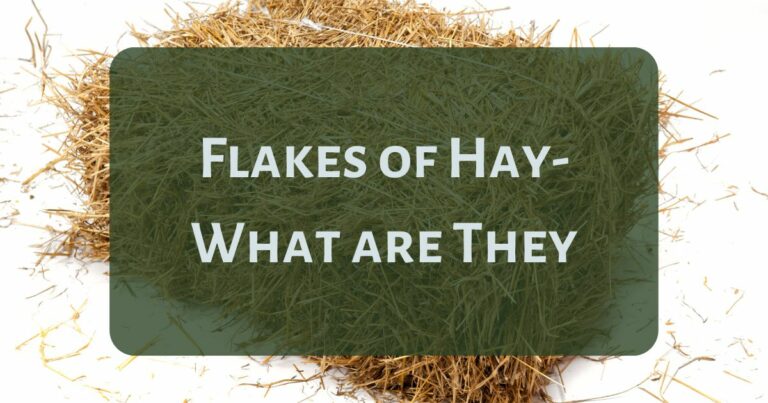 flakes of hay