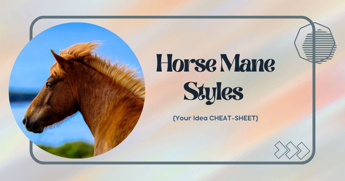 horse mane styles