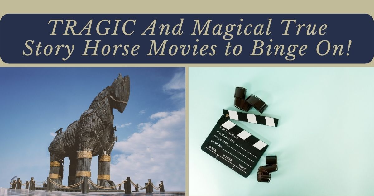 true story horse movies