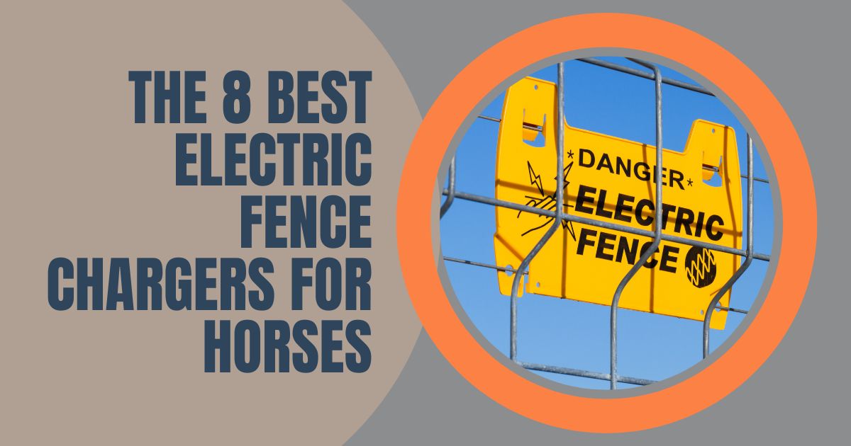 The 8 Best Electric Fence Chargers for Horses