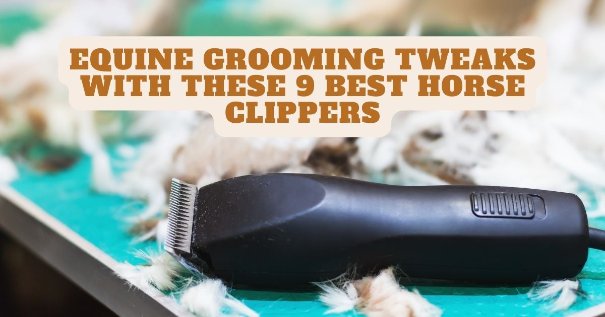 Equine Grooming Tweaks With These 9 Best Horse Clippers