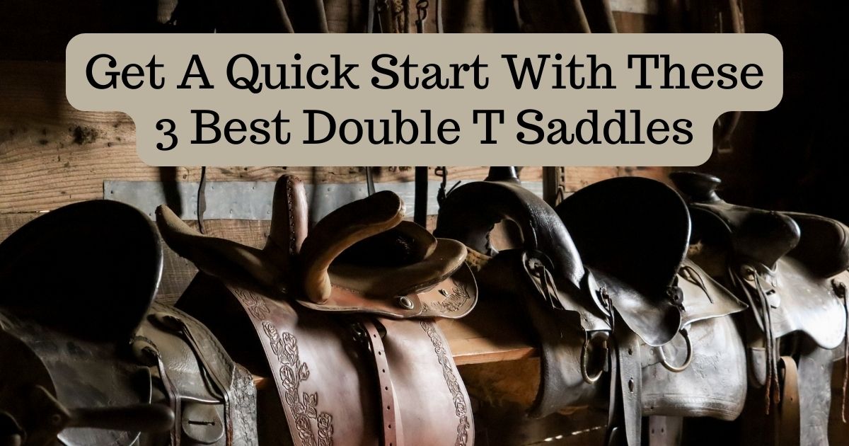 double t saddles
