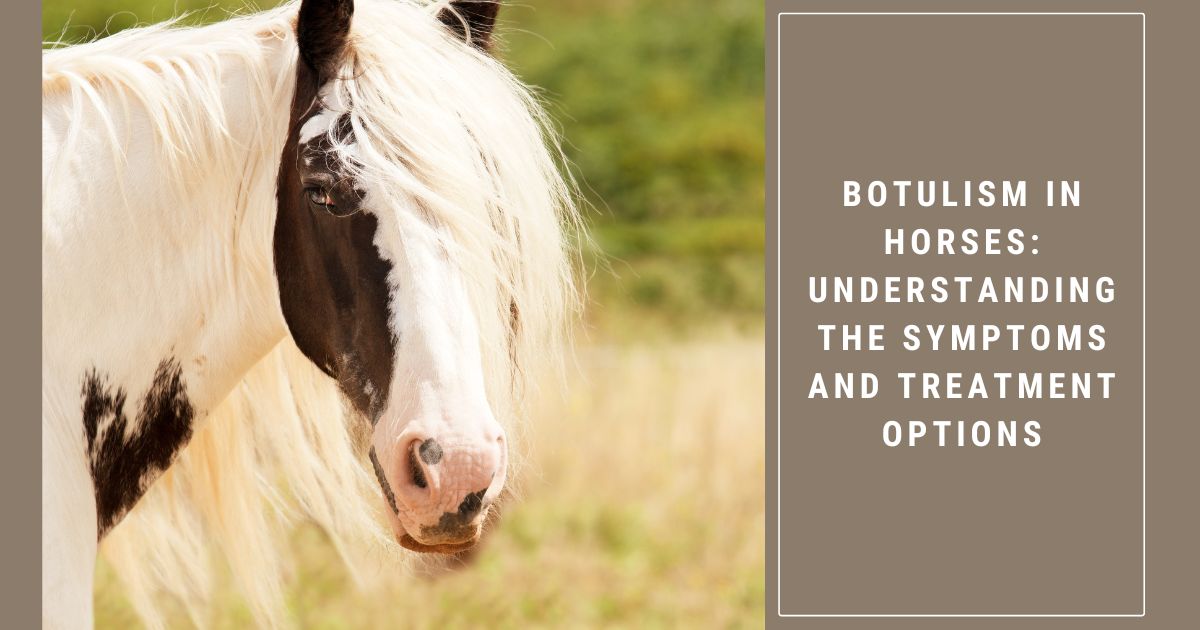 botulism in horses